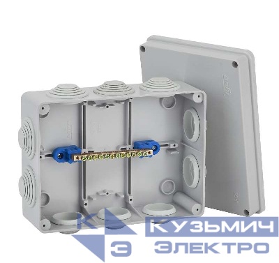 Коробка распределительная ОП 200х140х75мм 10 вводов IP55 сер. Ruvinil 67055УП