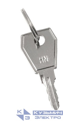 Ключ для пластикового замка к ЩРН (арт. lock-shrn-ip31) PROxima EKF key-4