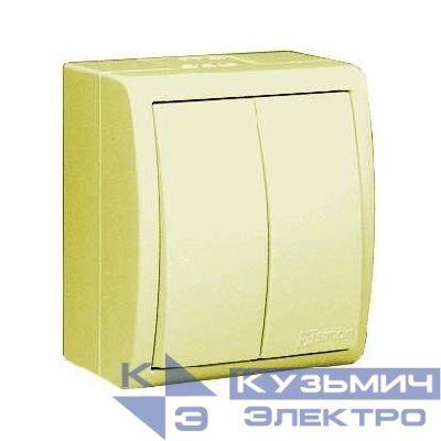 Выключатель 2-кл. ОП Simon 15 Aqua 10А IP54 винтов. зажим сл. кость Simon 1594398-031