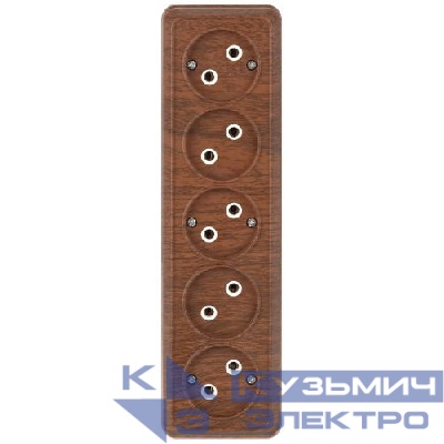 Розетка 5-м ОП Quadro 2-209-10 16А IP20 5х2P 250В без заземл. венге Intro Б0053851