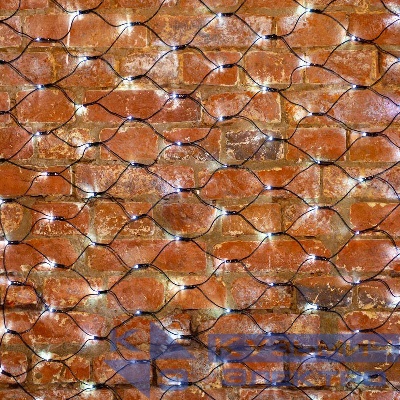 Гирлянда светодиодная "Сеть" 1х1.5м 160LED бел. 10Вт IP65 провод ПВХ черн. Neon-Night 215-115