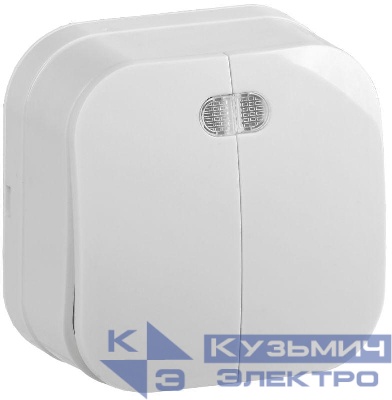 Выключатель 2-кл. ОП GLORY 10А ВС20-2-1-ХБ с индикацией бел. IEK EVH21-K01-10