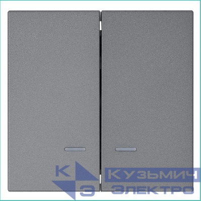 Выключатель 2-кл. СП FD 10А IP20 с подсветкой с накладкой механизм никель Jasmart FD3023NNI