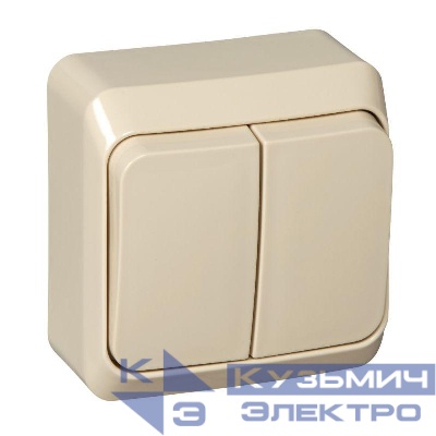 Выключатель 2-кл. ОП Этюд 10А IP20 крем. SE BA10-002K