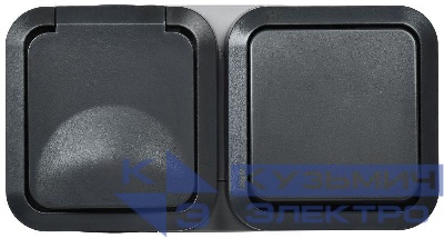 Блок ОП розетка + выключ. горизонт. TORS 16А IP55 TS142 графит IEK TS-G10-6-55-V-K53