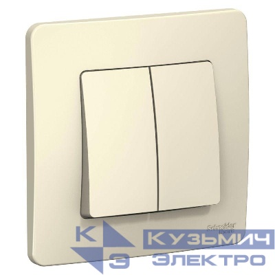 Выключатель 2-кл. СП Blanca 6А IP20 (сх. 5) 250В молочн. SE BLNVS006502