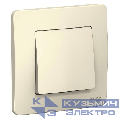 Выключатель 1-кл. СП Blanca 6А IP20 (сх. 1) 250В молочн. SE BLNVS006102