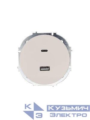 Розетка 1-м СП OSEN TC+ USB разъем механизм сл. кость LEZARD 743-9088-192TC