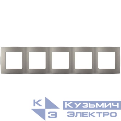 Рамка 5-м Эра12 12-5005-16 титан Эра Б0065743