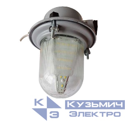 Светильник SSW23-01-C-01 Желудь NLCO 800021