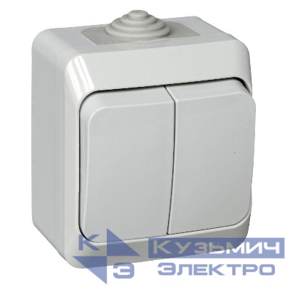 Выключатель 2-кл. ОП Этюд 10А IP44 10AX сер. SE BA10-042C