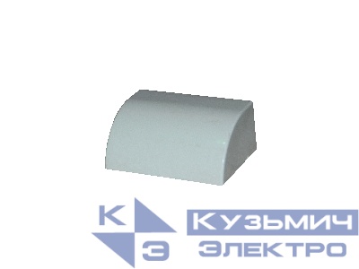 Заглушка 100*40 "ТПЛ"