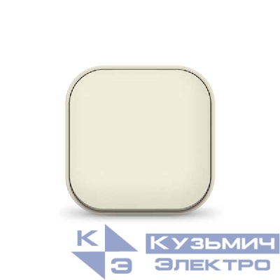 Выключатель 1-кл. 1п ОП 10А IP20 сл. кость IONICH 1423