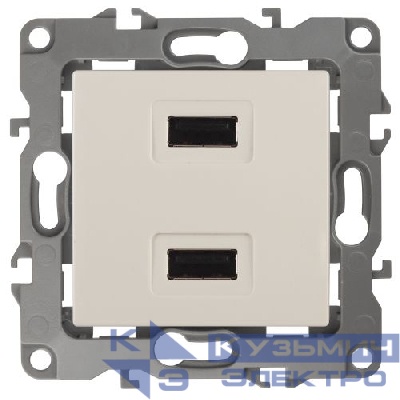 Устройство зарядное USB 12-4110-02 5В-2100мА сл. кость ЭРА Б0027492