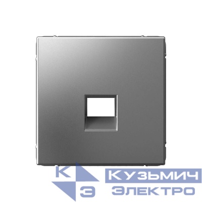 Накладка информационная ArtGallery типа Keystone сталь SE GAL000984