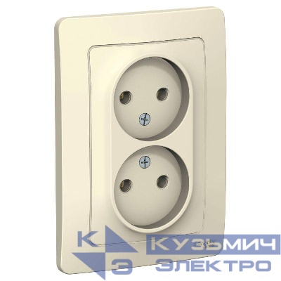 Розетка 2-м СП Blanca 16А IP20 250В без заземл. без защ. шторок молоч. SE BLNRS000022