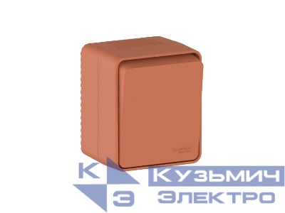 Выключатель кнопочный 1-кл. ОП AtlasDesign PROFI IP54 10AX терракот. SE ATN547015
