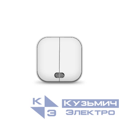 Выключатель 2-кл. 1п ОП 10А IP20 с подсветкой бел. IONICH 1414