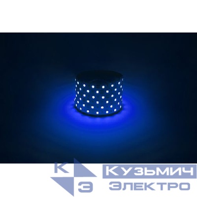 Лента светодиодная LS5050 -14.4-60-12-B-IP20-1 year-5m син. (уп.5м) Эра Б0059921