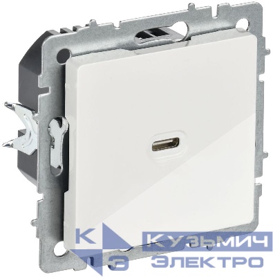 Розетка СП BRITE РЮ12-1-БрБ USB C 65Вт высокоскор. заряд. бел. IEK BR-U13-065-K01