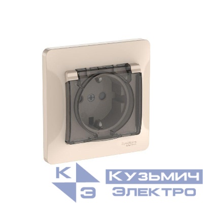Розетка Glossa 16А IP44 с заземл. защ. шторки с крышкой быстрозажим. клем. в сборе беж. SE GSL000248S