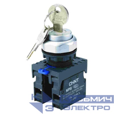 Переключатель с ключом NP8-11Y/21 2 полож. с фиксацией 1НО+1НЗ IP65 (R) CHINT 667180