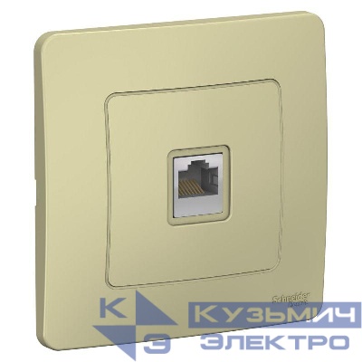 Розетка компьютерная 1-м СП Blanca RJ45 кат.5E беж. SE BLNIS045007