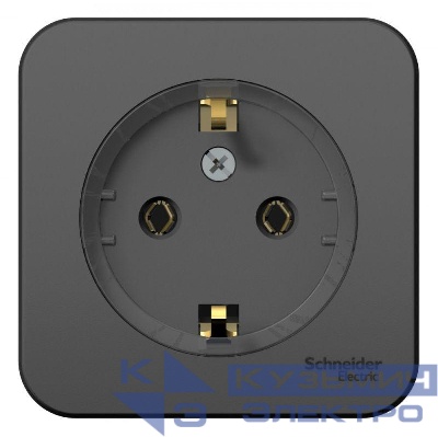 Розетка 1-м ОП Blanca 16А IP20 250В с заземл. без защ. шторок с изолир. пластиной (компакт) антрацит SE BLNRA110116