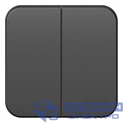 Выключатель 2-кл. ОП Blanca 10А IP20 (сх. 5) 250В антрацит SE BLNVA105006