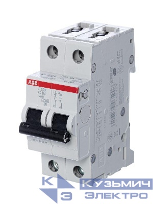 Выключатель автоматический модульный 2п C 16А 6кА S202 C16 ABB 2CDS252001R0164