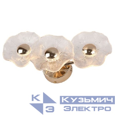 Бра светодиодный Shannon 6135-401 LED 7Вт 3000К дизайн Rivoli Б0061948