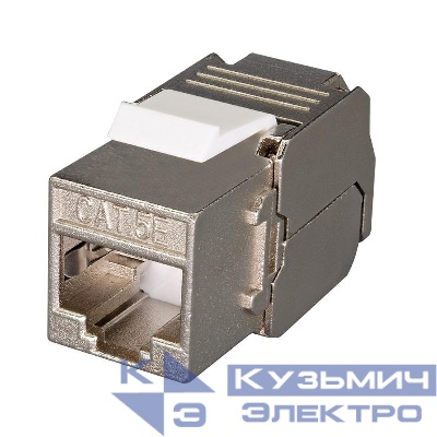 Модуль розеточный Keystone Jack 8P8C RJ-45 FTP кат.5E заделка без инструмента 180град. (DIY) SUPRLAN 10-0328-1