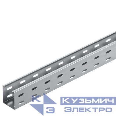 Лоток листовой перфорированный 60х50 L3000 RKS 605 FS OBO 6047600