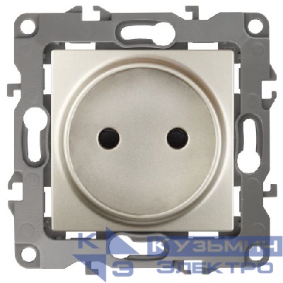 Розетка 1-м СП Эра12 12-2105-04 16А IP20 16AX 250В 2P механизм шампань Эра Б0018257