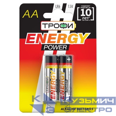 Элемент питания алкалиновый AA/LR6 LR6-2BL (блист.2шт) Трофи C0034926