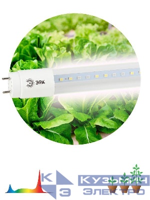 Лампа светодиодная FITO-9W-Ra90-Т8-G13-NL 9Вт T8 линейная 46LED 2835 IP20 35000ч для растений полноспектральная стекло Эра Б0042988