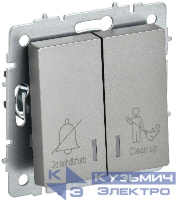 Выключатель 2-кл. BRITE 10А ВС10-2-9-БрС для отелей с индик. механизм сталь IEK BR-V20-2-10-K46