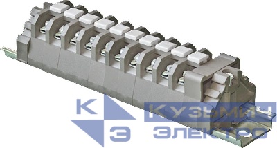 Зажим наборный БЗН24-4П25-В/ВУ3-10 ЧЭАЗ A8119-T1748