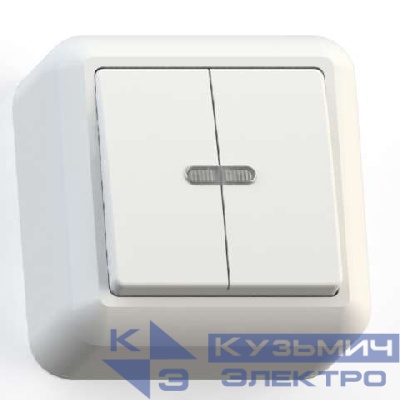 Выключатель 2-кл. ОП Оптима 10А IP20 А510-387 с индикацией с монтаж. пластиной бел. Кунцево 8004