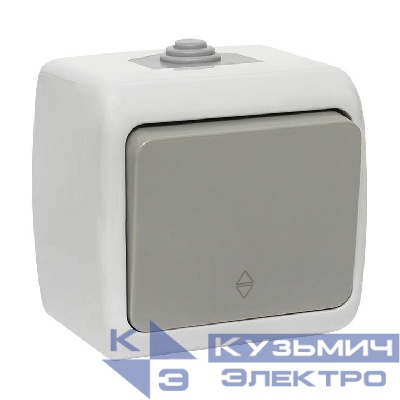 Переключатель проходной 1-кл. ОП Мурманск 10А IP54 сер. EKF EFV10-025-30-54