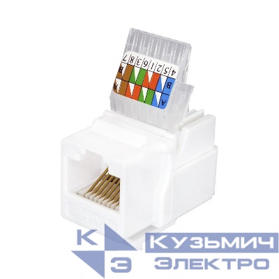Модуль розеточный Keystone Jack 8P8C RJ-45 UTP кат.5E заделка без инструмента бел. (DIY) SUPRLAN 10-0312-1