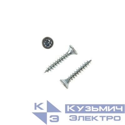 Саморез ШУц 2.5х20 потайная головка (уп.25шт) Tech-Krep/Zitar 102406