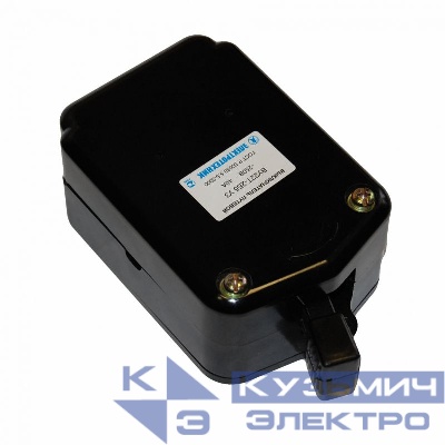 Выключатель конечн. ВУ22Т-2Б5 УЗ 40А с руч. возвр. с гашен. дуги IP00 Электротехник ET052460