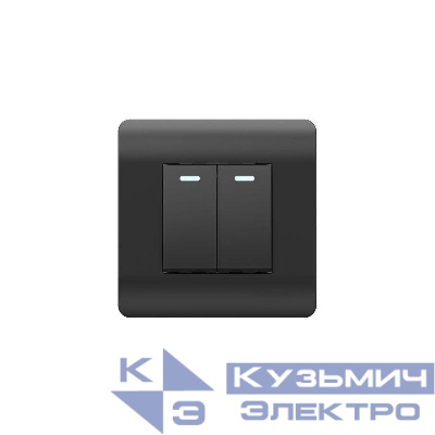 Выключатель 2-кл. NEW3-E 10А с подсветкой черн. CHINT 431474