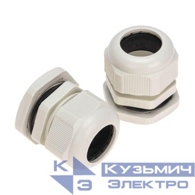 Ввод кабельный PG-29 (18-25мм) сер. комплект (уп.2шт) Rexant 07-8029-A2