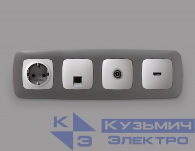 OP4130 Лицевая панель OMEGA (Серебро глянец) для TV розетки QUANT