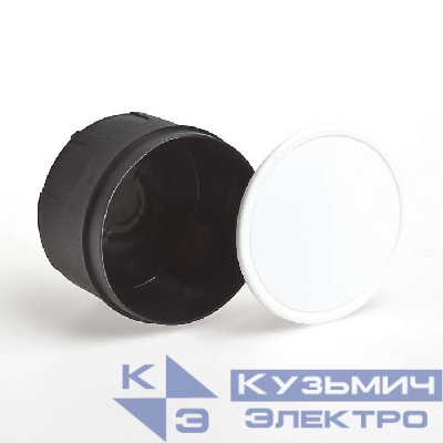 Коробка распределительная СП 60х40мм IP30 крышка Ruvinil 10157
