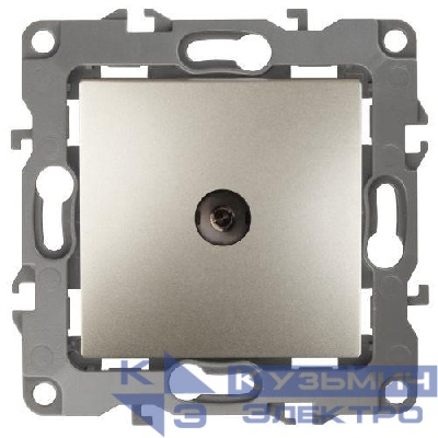 Розетка телевизионная проходная TV Эра12 12-3102-04 IP20 шампань Эра Б0027434