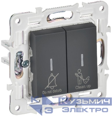 Выключатель 2-кл. SKANDY 10А SK-V16G для отелей с индикацией графит IEK SK-V20-2-10-K53