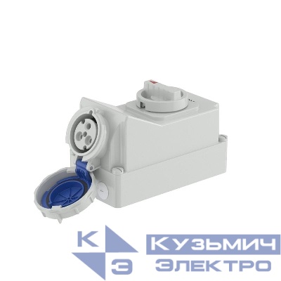 Розетка наружн. уст. 32А 230В 2P+E IP67 DKC DIS5613283